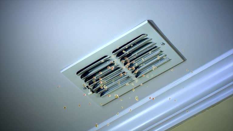  Elkader, IA Airduct Cleaning Pros