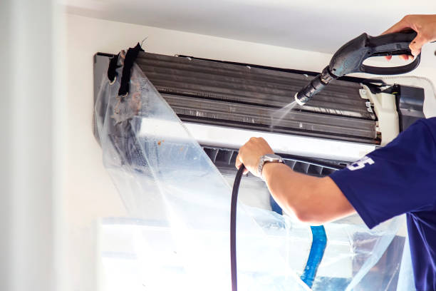 Air Duct Mold Removal in Elkader, IA
