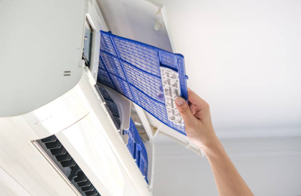 Best Affordable Air Duct Cleaning  in Elkader, IA