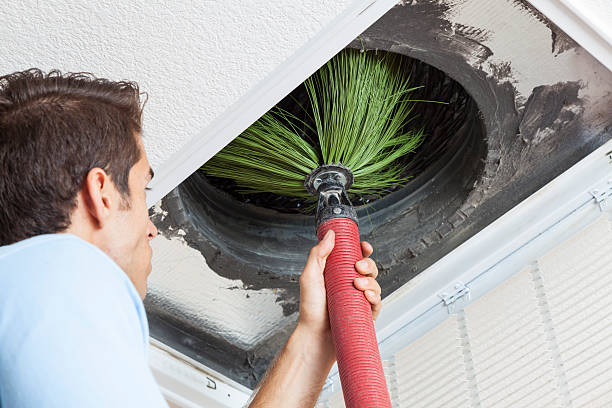 Best Commercial Air Duct Cleaning  in Elkader, IA